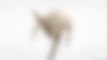 This Is Video Post